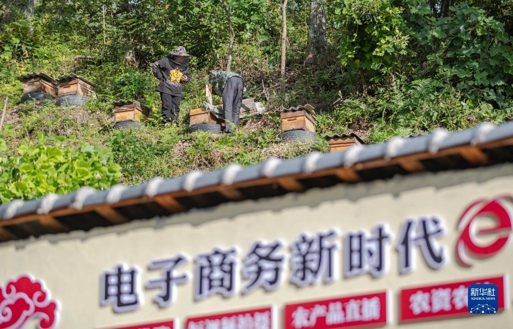 波克捕鱼国际版如何
